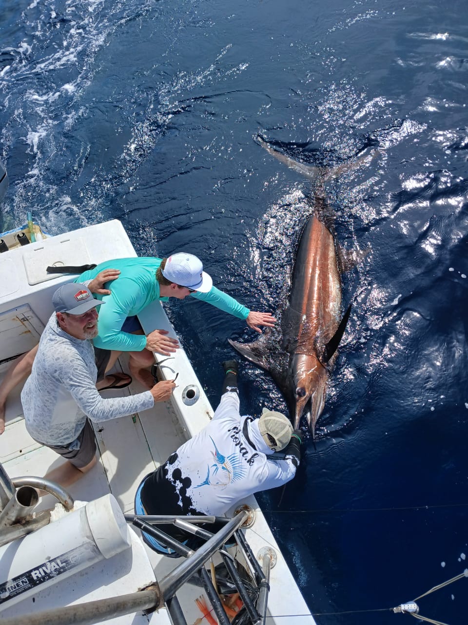 Marlin release